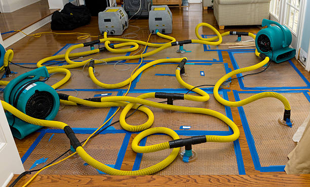 Professional Crawl Space Water Removal technician working in Mine Hill, NJ